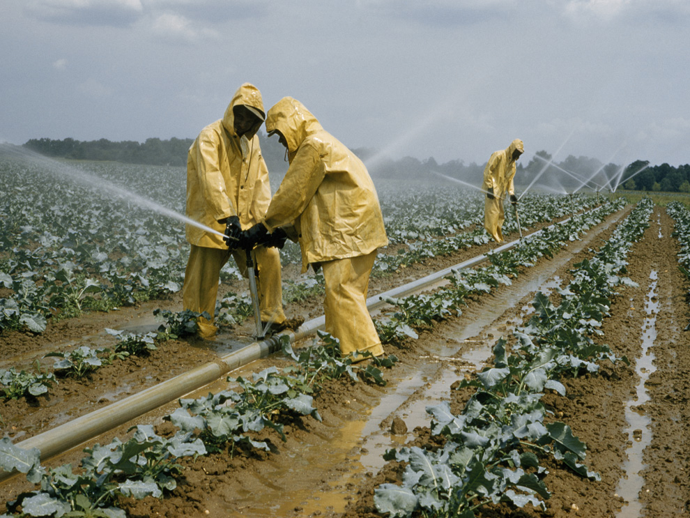 ugoking-agriculture.jpg